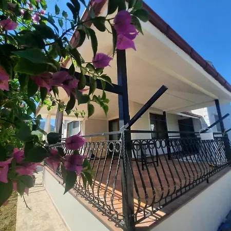 Dalyan Last Summer Muğla